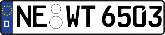 NE-WT6503