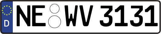 NE-WV3131