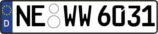NE-WW6031