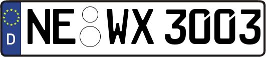 NE-WX3003