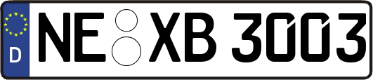 NE-XB3003