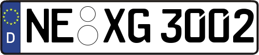 NE-XG3002
