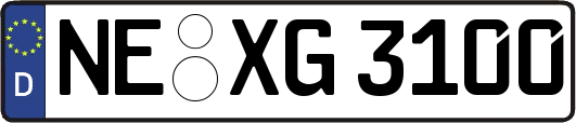 NE-XG3100