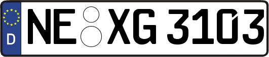 NE-XG3103