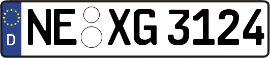 NE-XG3124