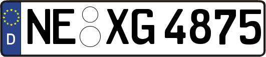 NE-XG4875