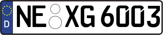NE-XG6003