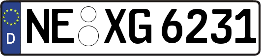 NE-XG6231