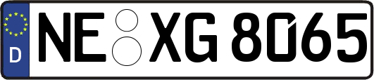 NE-XG8065