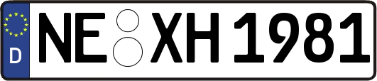 NE-XH1981