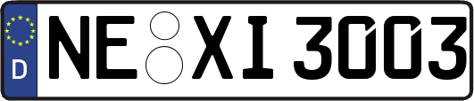 NE-XI3003