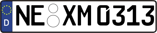 NE-XM0313