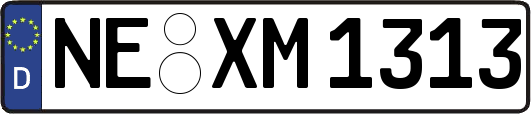 NE-XM1313
