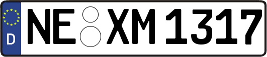 NE-XM1317