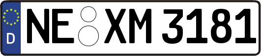 NE-XM3181