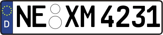 NE-XM4231