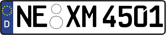 NE-XM4501