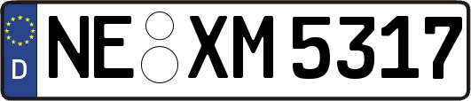 NE-XM5317