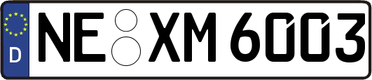 NE-XM6003