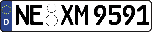 NE-XM9591