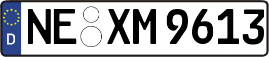 NE-XM9613