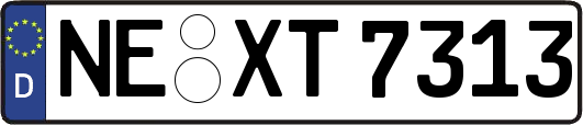 NE-XT7313