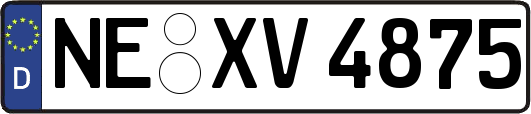 NE-XV4875