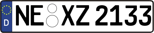 NE-XZ2133