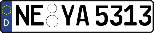 NE-YA5313