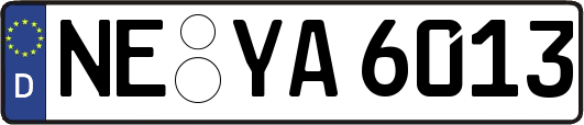 NE-YA6013