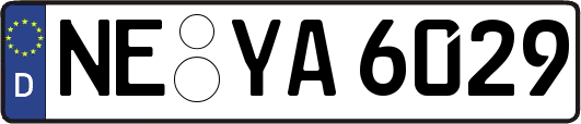 NE-YA6029