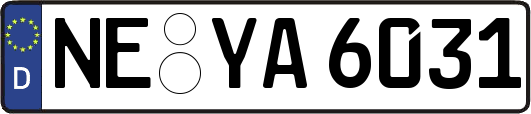 NE-YA6031