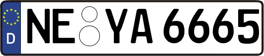 NE-YA6665