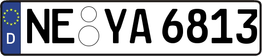 NE-YA6813
