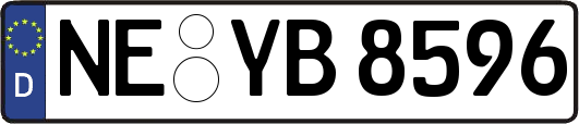 NE-YB8596