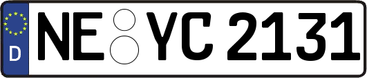 NE-YC2131