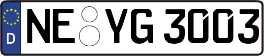 NE-YG3003