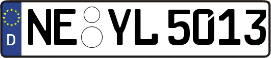 NE-YL5013