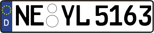 NE-YL5163