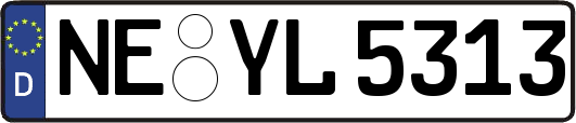 NE-YL5313
