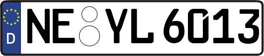 NE-YL6013