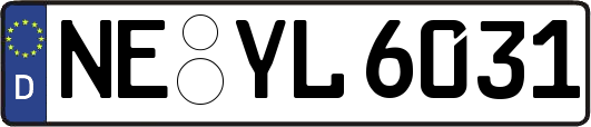NE-YL6031