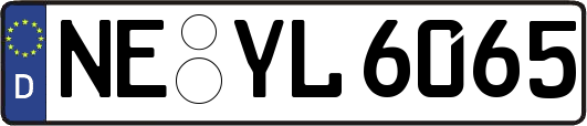 NE-YL6065