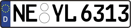 NE-YL6313