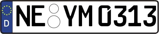 NE-YM0313