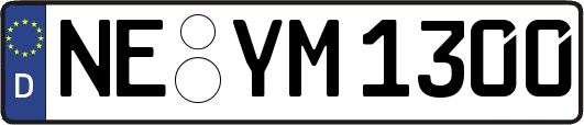 NE-YM1300