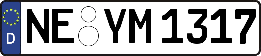 NE-YM1317