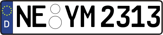 NE-YM2313