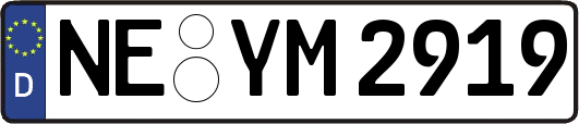 NE-YM2919