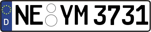 NE-YM3731